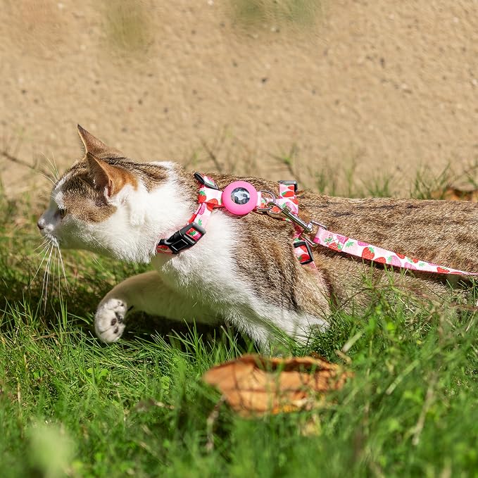 Cat Harness and Leash Escape Proof - Image 7