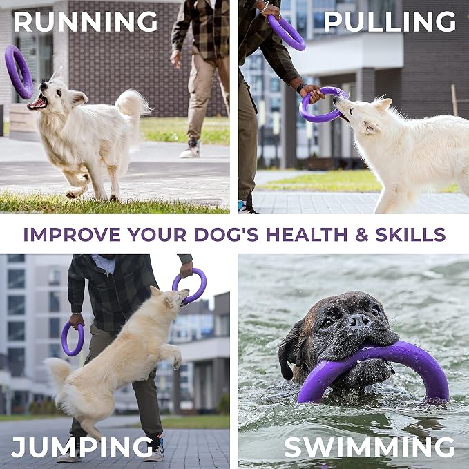 Puller Outdoor Dog Ring Toys - Image 4