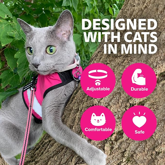 Kitty Holster Reflective Cat Harness – High-Visibility Cat Harness - Image 4