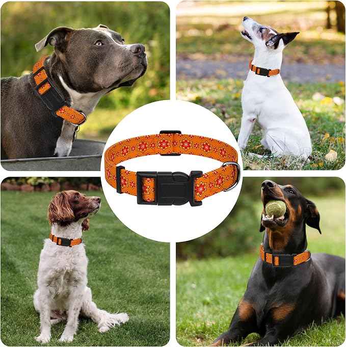 Dog Collar, Classical Indian Spirit Boys Girls Puppy Collar