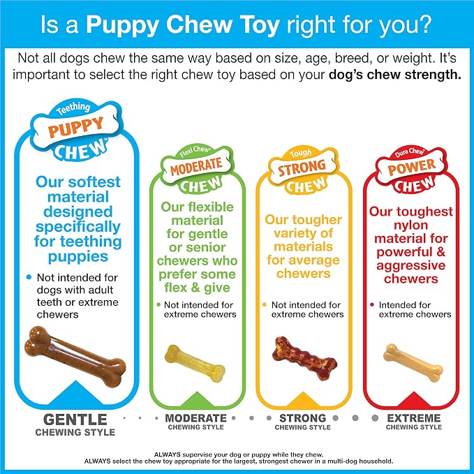 Nylabone New Puppy Starter Kit, 5 Chew Toys and 1 Natural Treat - Image 15