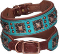 PET ARTIST Genuine Leather Dog Collar by PETARTIST