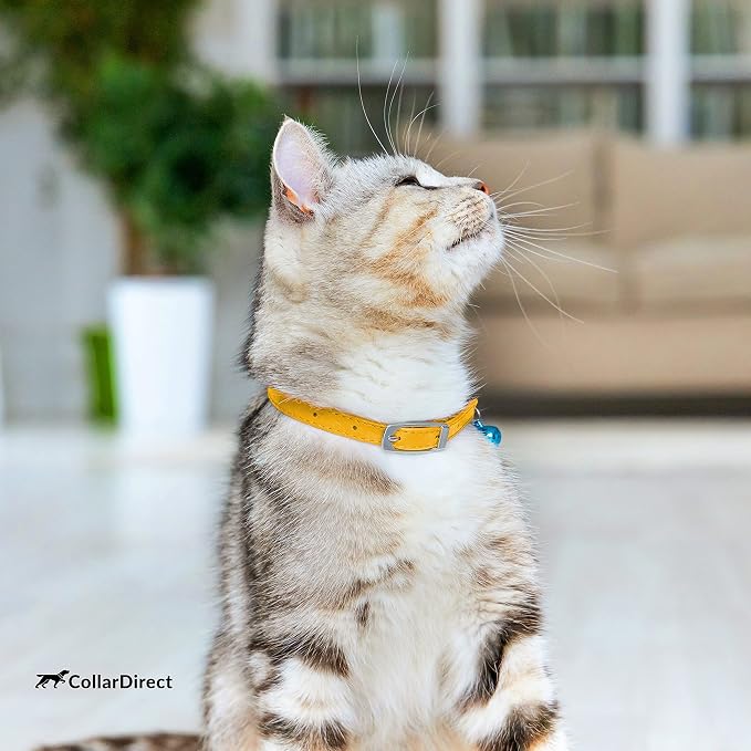 CollarDirect Leather Cat Collar - Image 7