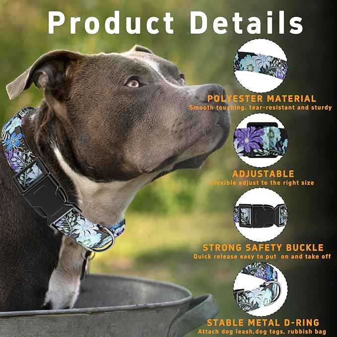 Dog Collar for Boys & Girls, Puppy Collar for Small to Large Dogs, Adjustable