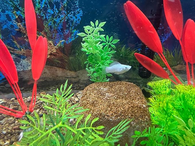 Aquarium Stone for Natural Water Clarification and Odor Removal Featuring - Image 6