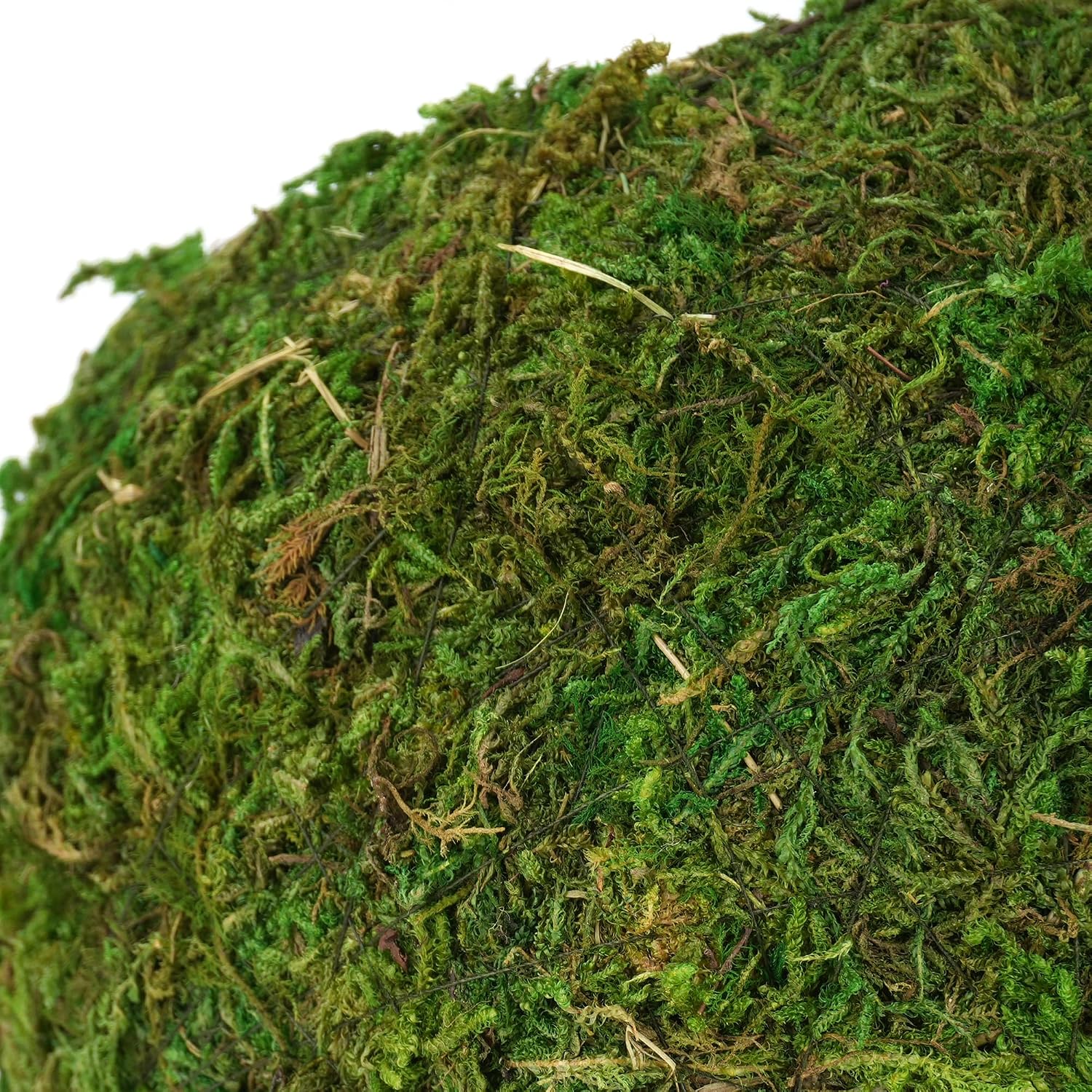 USMOLA 4" Woodland Green Mossy Reptile Caves - GlobalHabitat Supply