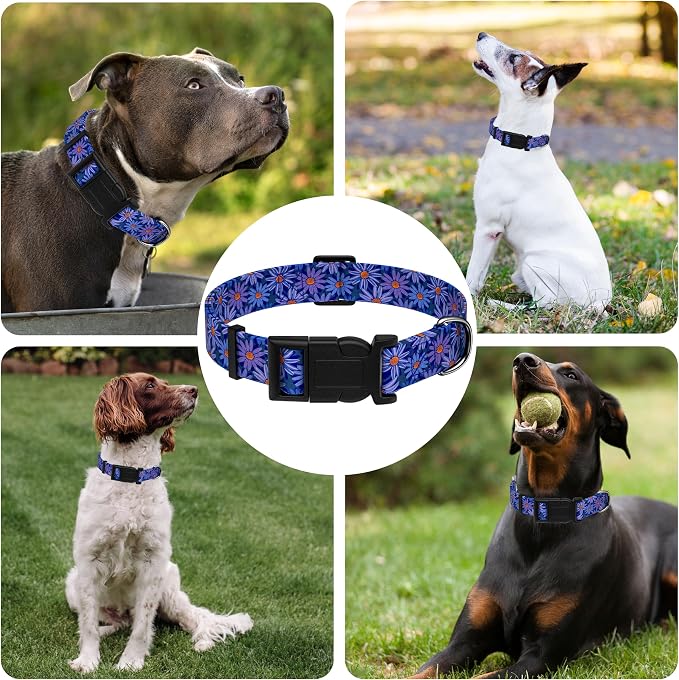 Dog Collar, Classical Indian Spirit Boys Girls Puppy Collar - Image 6