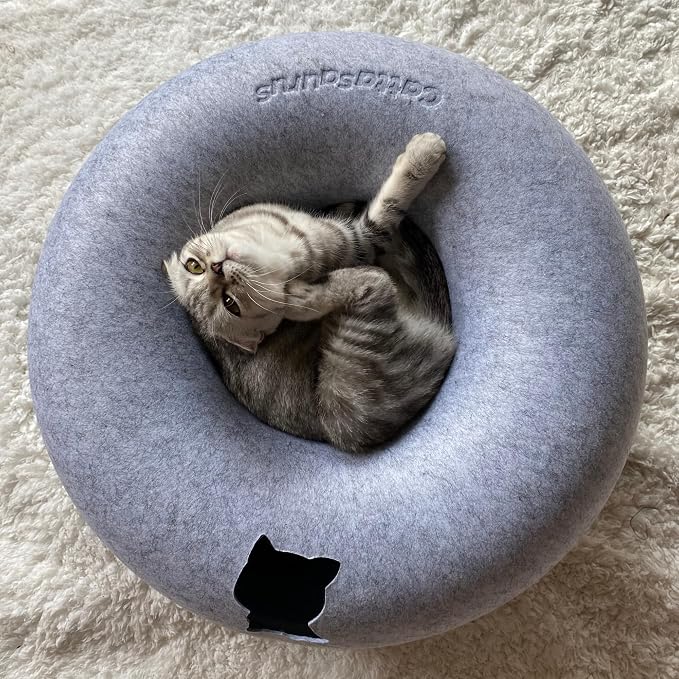 Cattasaurus Peekaboo Cat Cave Donut - Image 9