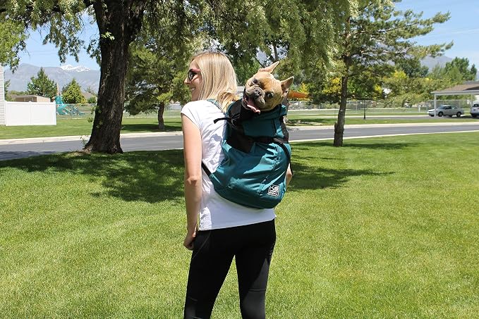 K9 Sport Sack Trainer - Image 7