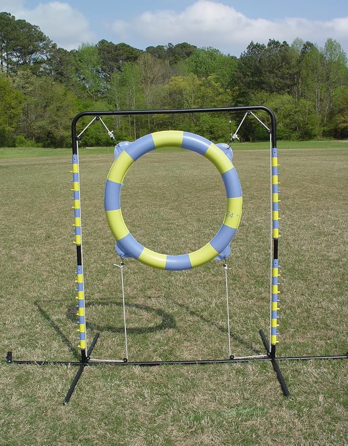 Agility Tire Jump - Image 3
