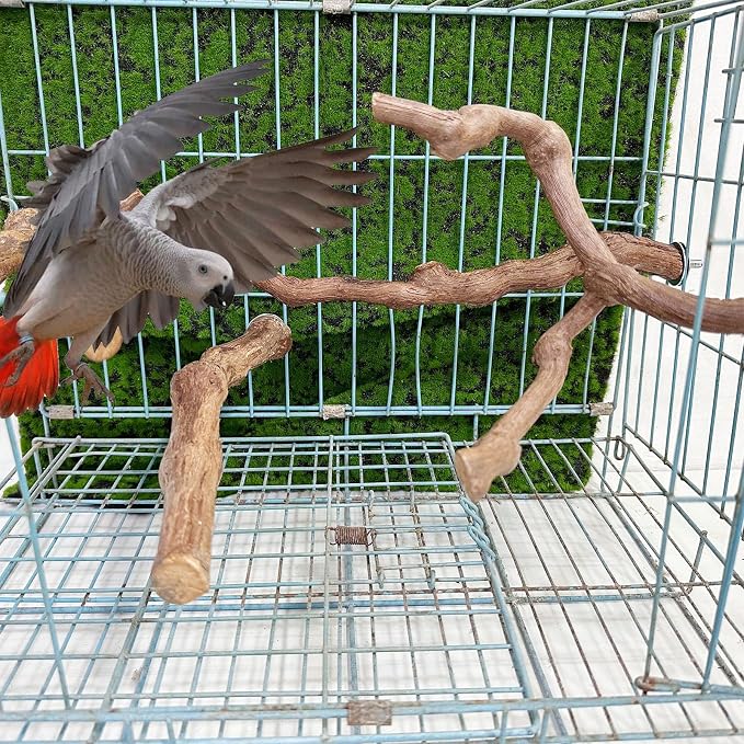 Allazone 4-Piece Bird Perch - Image 8