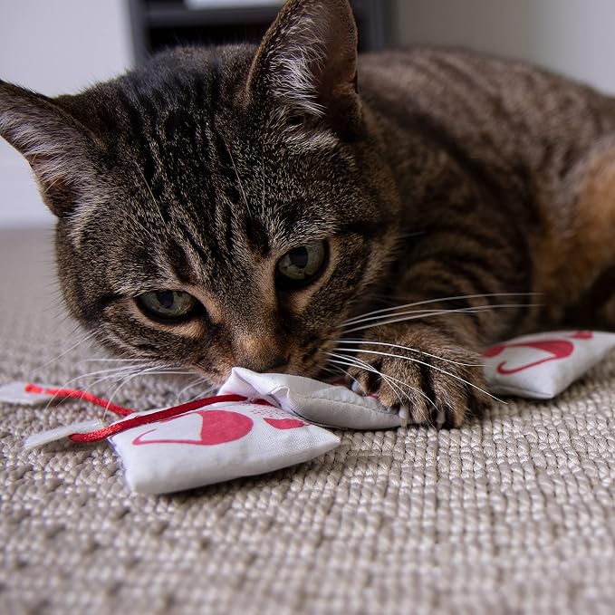 Petlinks Tea Zing Catnip Cat Toys - Image 5