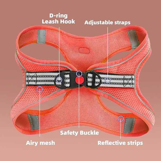 ROYPET Step-in Air Dog Harness, All Weather Mesh Step in Vest Harness - Image 2