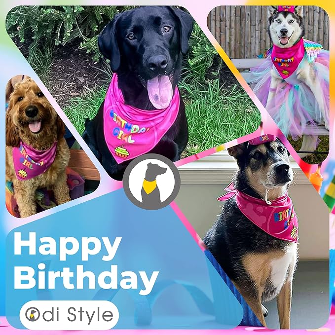 Dog Birthday Bandana - Image 5