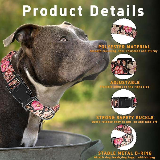 Dog Collar for Boys & Girls, Puppy Collar for Small to Large Dogs, Adjustable - Image 2