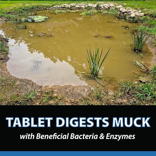 CrystalClear MuckOff, Natural Pond Muck Treatment, Water Garden, Fountain & - Image 8