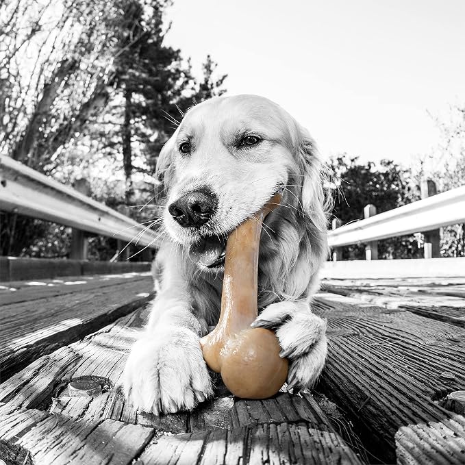 Pet Qwerks Original BarkBone - Image 3