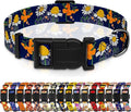 Dog Collar with Butterflies Print, Daisy Boys Girls Puppy Collar by Seyezo