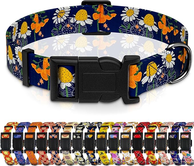 Dog Collar with Butterflies Print, Daisy Boys Girls Puppy Collar by Seyezo