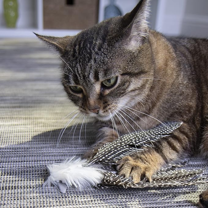 Petlinks HappyNip Zippy Zebra Feather Cat Toy, Contains Silvervine & Catnip - Image 5