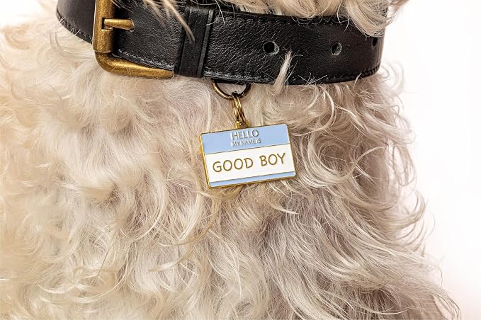 Two Tails Pet Company Personalized 'Good Boy' Pet ID Tag & Collar Charm - Image 4
