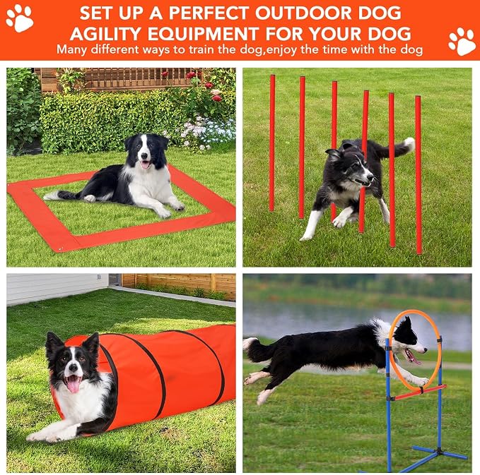 Garvee Dog Agile Training Equipment Set Outdoor Indoor, Weave Poles, Pause Box - Image 6