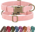 Didog Soft PU Leather Dog Collar, Stylish Quick Released Dog Collars by Didog