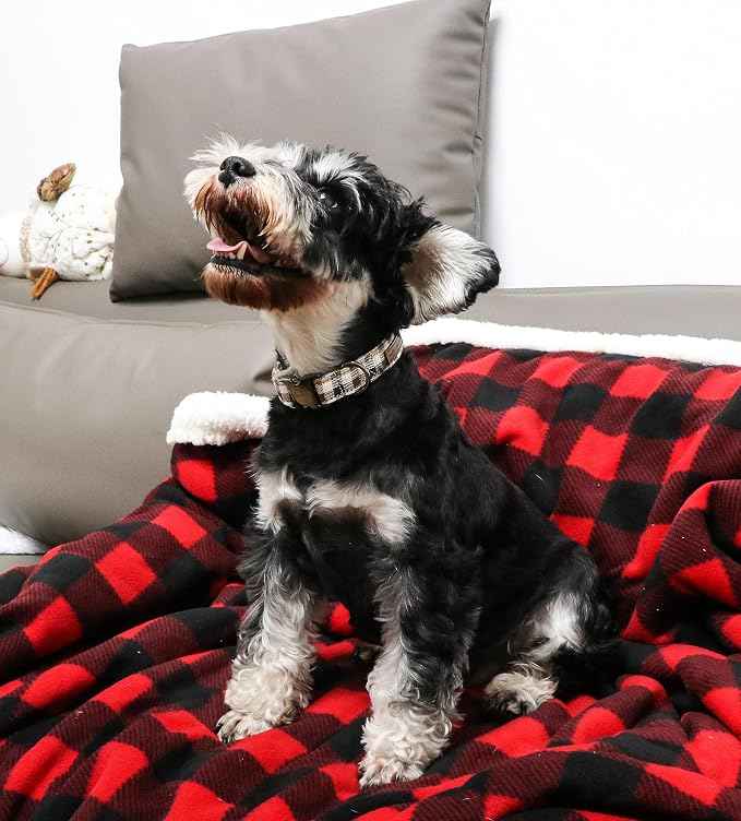 Unique style paws Dog Collar Metal Buckle Collar Gift
