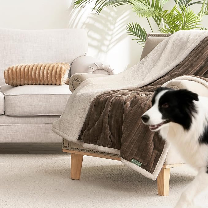 Waterproof Dog Blanket for Large Dogs - Image 2