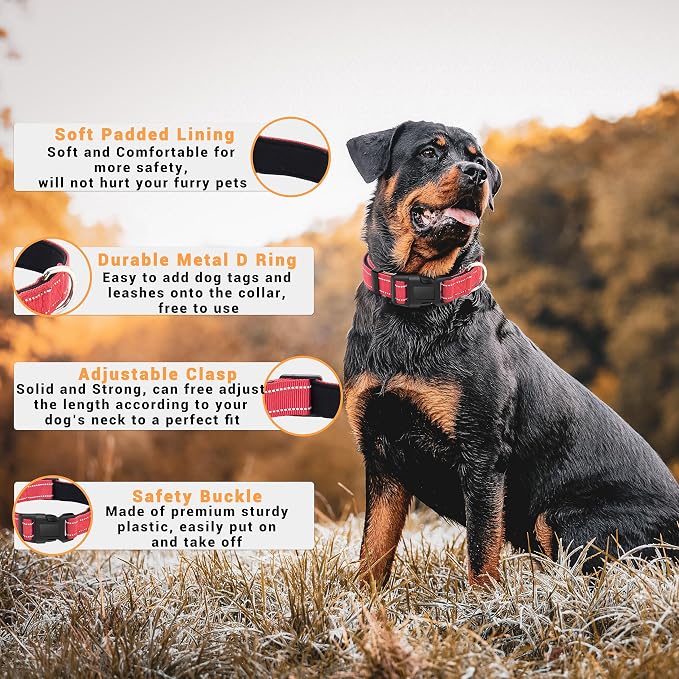2 Pack Reflective Dog Collar - Image 2