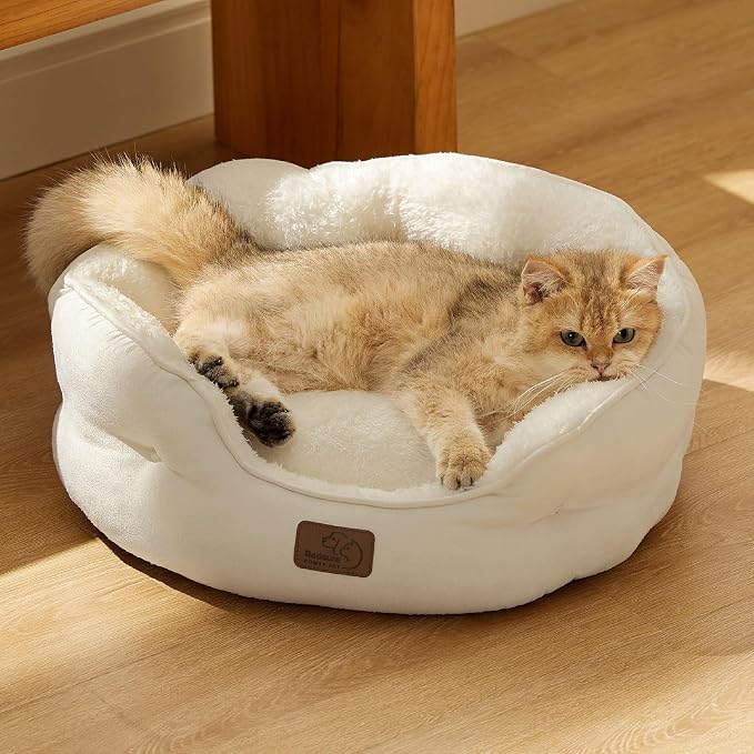 Bedsure Dog Beds for Small Dogs - Image 7