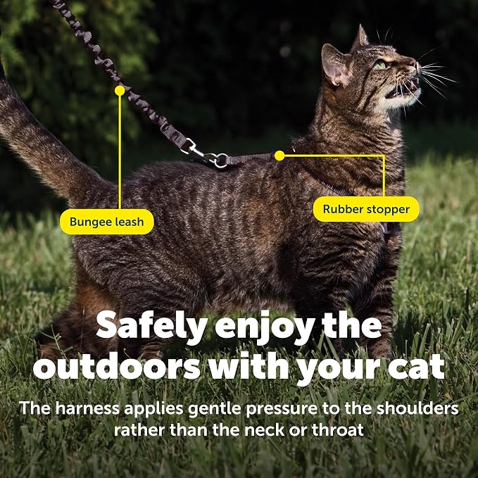 PetSafe Come with Me Kitty Harness and Bungee Leash - Image 4