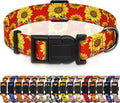 Dog Collar, Floral Boys Girls Puppy Collar