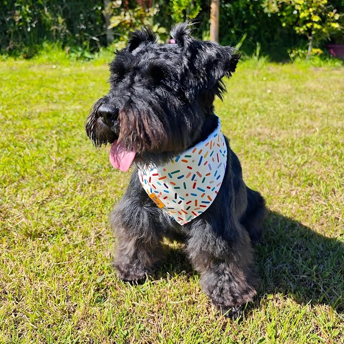 Birthday Dog Bandanas Medium Large, Colorful Sprinkle Stripes, Reversible Soft - Image 2