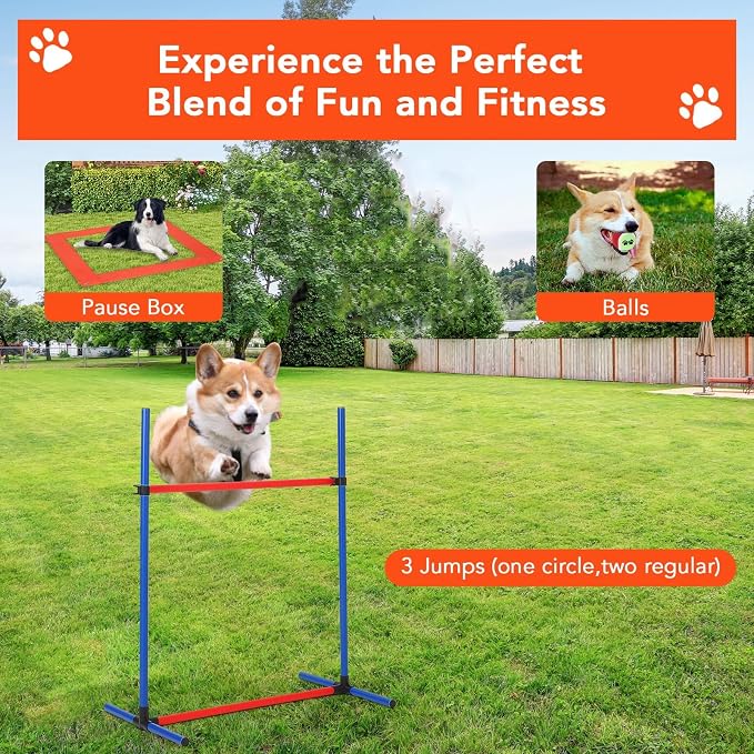 Garvee Dog Agile Training Equipment Set Outdoor Indoor, Weave Poles, Pause Box - Image 8