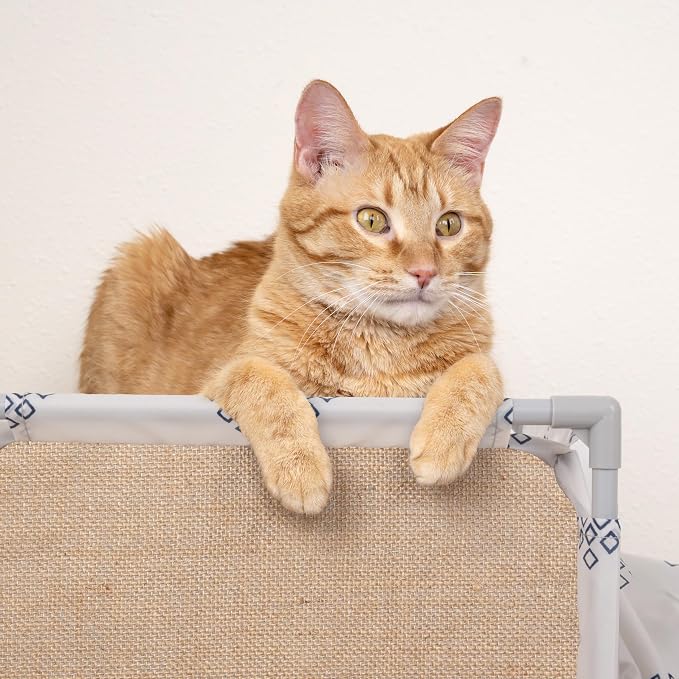 Kitty City Cozy Cat Play Furniture, Hideaway Cat Tunnel - Image 4