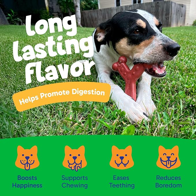 Chew'ems Durable Chew Toys for Small Dogs | Long-Lasting & Flavorful Chew Dog - Image 4