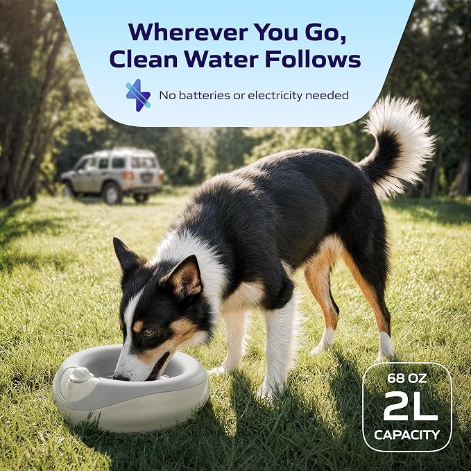 Filtered Portable Dog Water Dispenser, 2L / 68oz, Automatic Pet Water Dispenser - Image 5