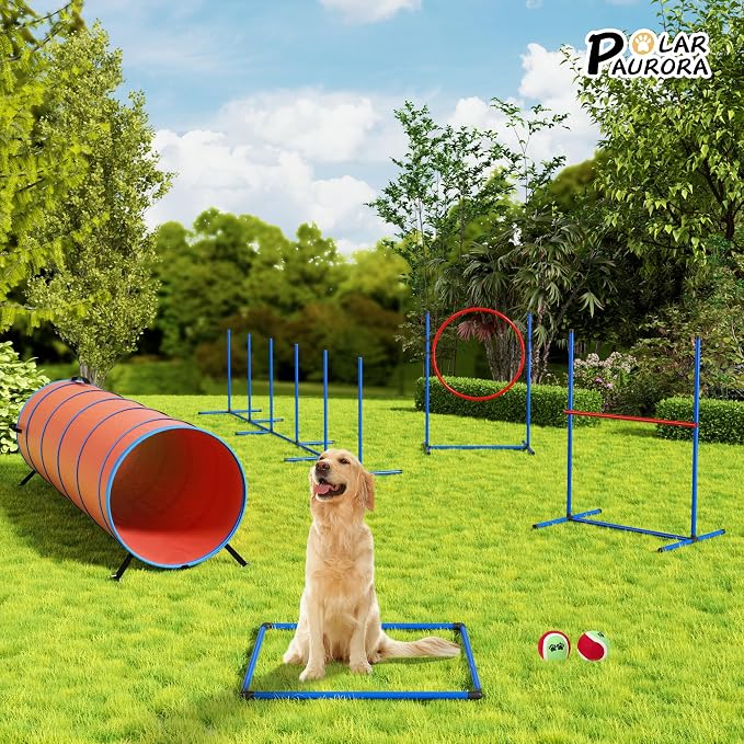 Dog Agility Equipment, Dog Agility Course Backyard Set Obstacle Course Backyard - Image 8