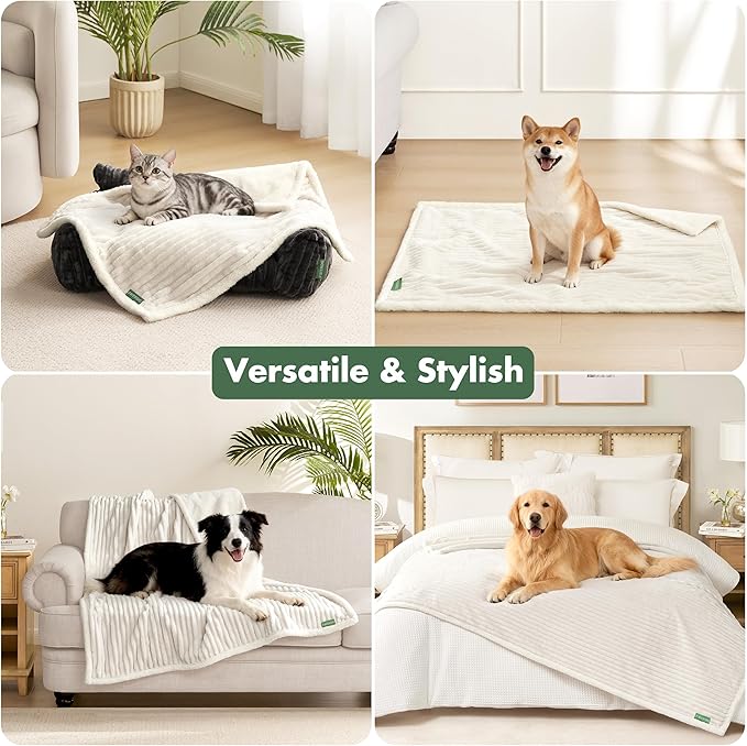 Waterproof Puppy Blankets for Small Dogs - Image 2