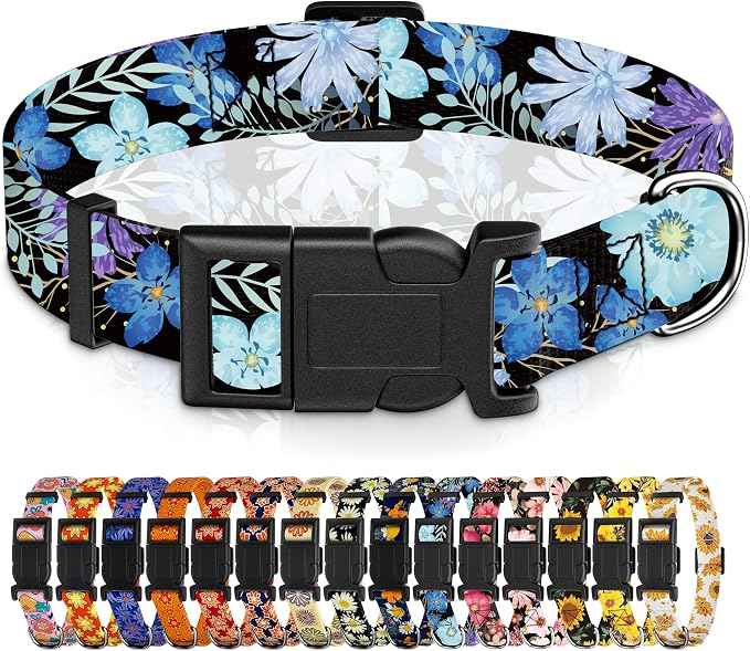 Dog Collar for Boys & Girls, Puppy Collar for Small to Large Dogs, Adjustable