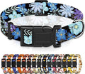 Dog Collar for Boys & Girls, Puppy Collar for Small to Large Dogs, Adjustable