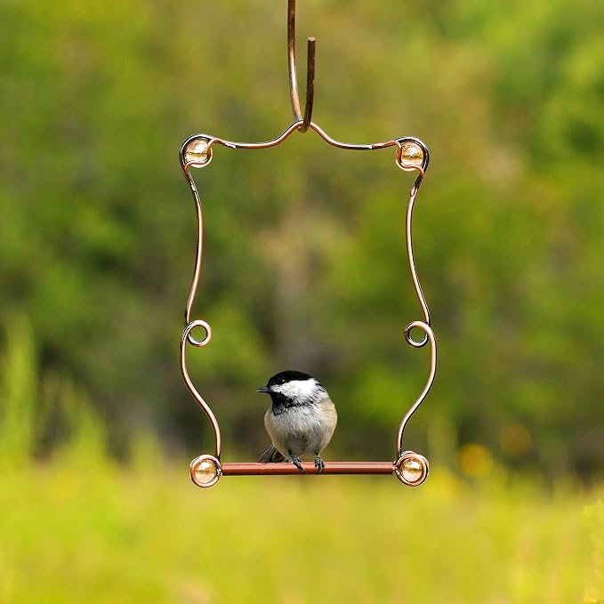 Perky-Pet Copper Beaded Hummingbird Swing - Image 6