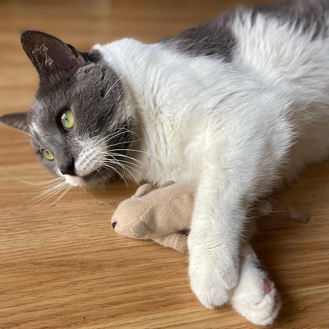 SPOT Flat Mouse Frankie with Catnip - Image 10