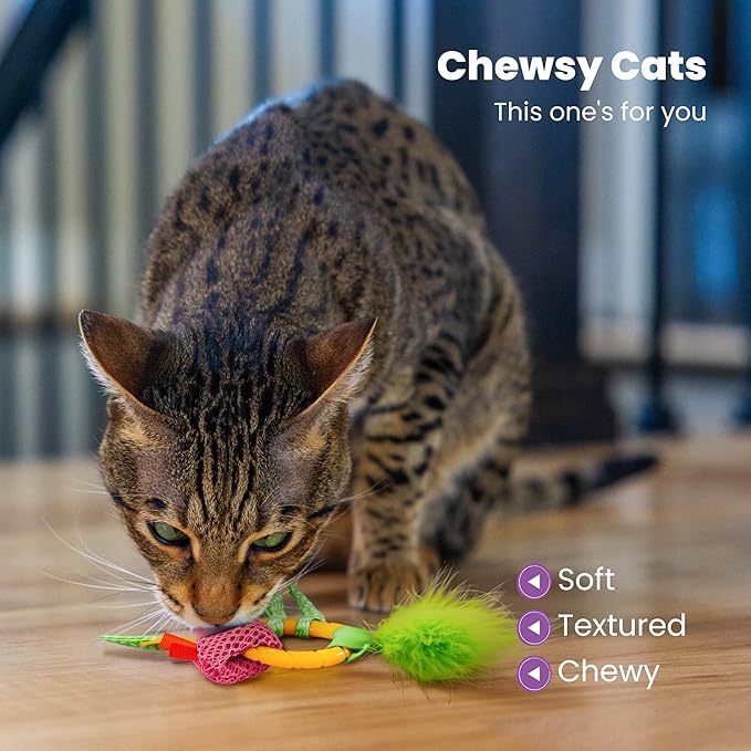 Catstages Dental Pineapple Teether – Chew Toy - Image 3