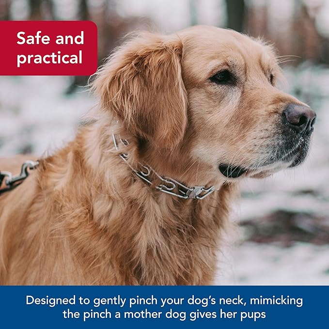 Herm SPRENGER Ultra-Plus Prong Dog Training Collar, 4 mm x 21" Neck Size - Image 3