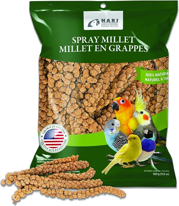 Living World – Millet Spray for Birds, 17.6 Oz – Premium Treat for Budgies by LivingWorld