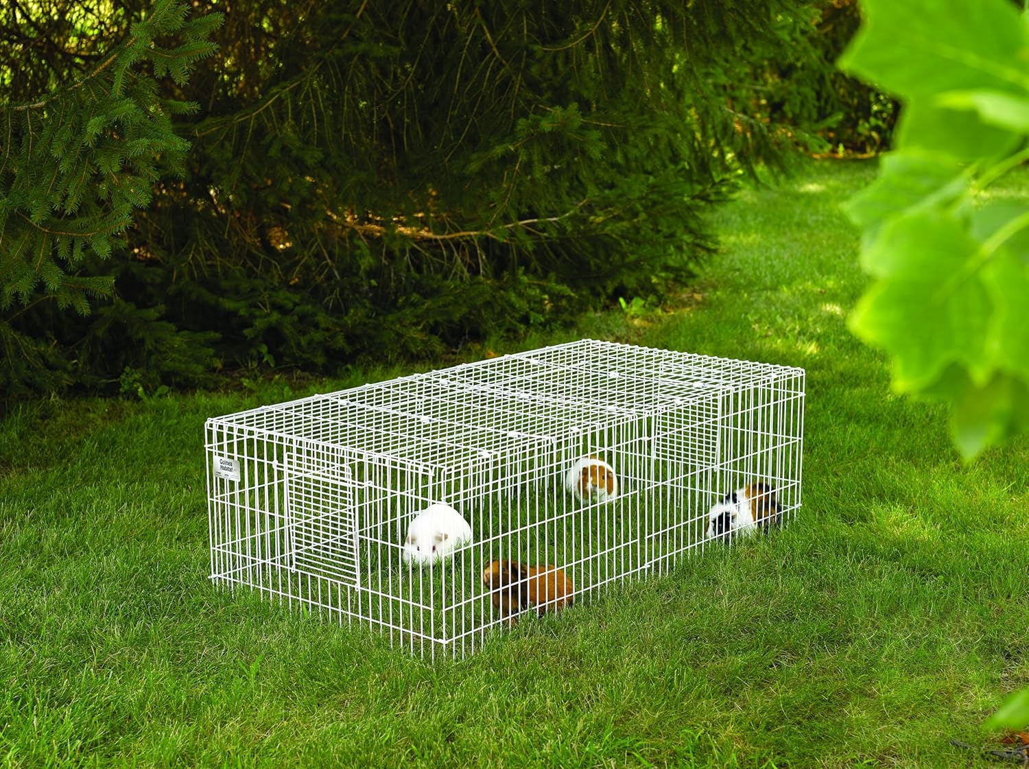 MidWest Homes for Pets Guinea Habitat Plus Cage, 171GHP - GlobalHabitat Supply