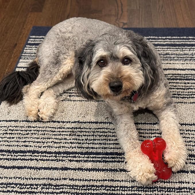 SPOT Play Strong Bone- Durable TPR Long Lasting Dog Chew - Image 2