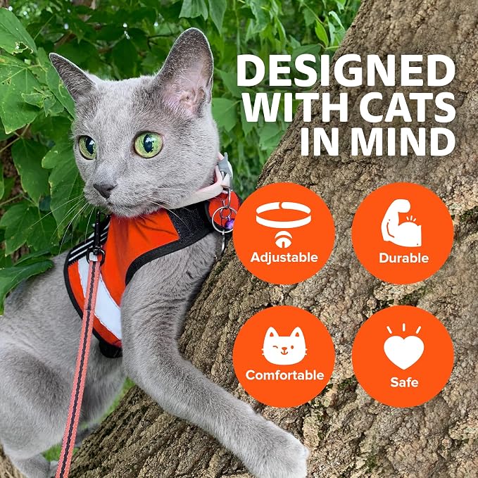 Kitty Holster Reflective Cat Harness – High-Visibility Cat Harness - Image 4
